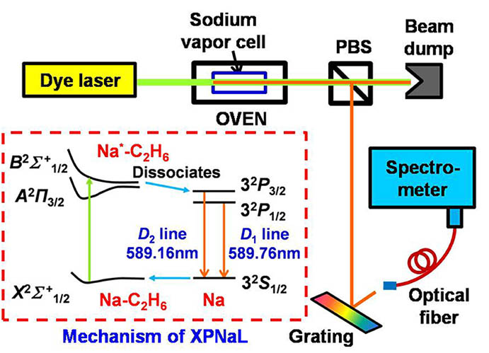 Experiment scheme of XPNaL fluorescence lifetime and ASE.