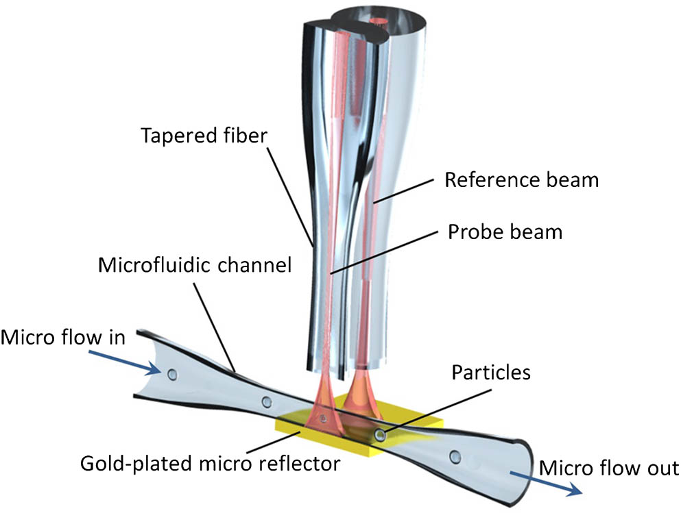 Schematic of optical differential detection of nano-particles in a microfluidic channel using two tapered fibers for optical interference.