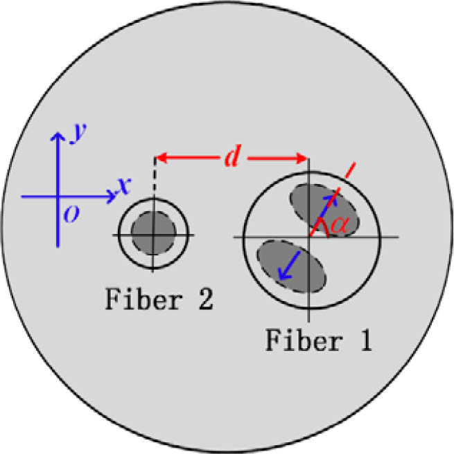 Cross section of an MSC. Fiber 1 is an MMF, fiber 2 is an SMF, and they have the same cladding. The distance between them is d.