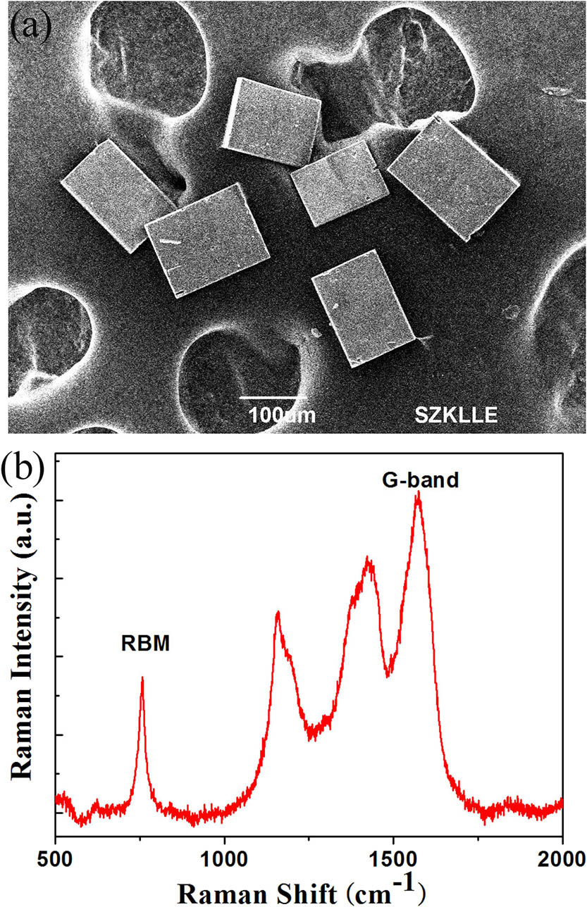(a) Scanning electron microscopy image of AEL single crystals. (b) Raman spectrum of the SWCNTs@AEL single crystal.