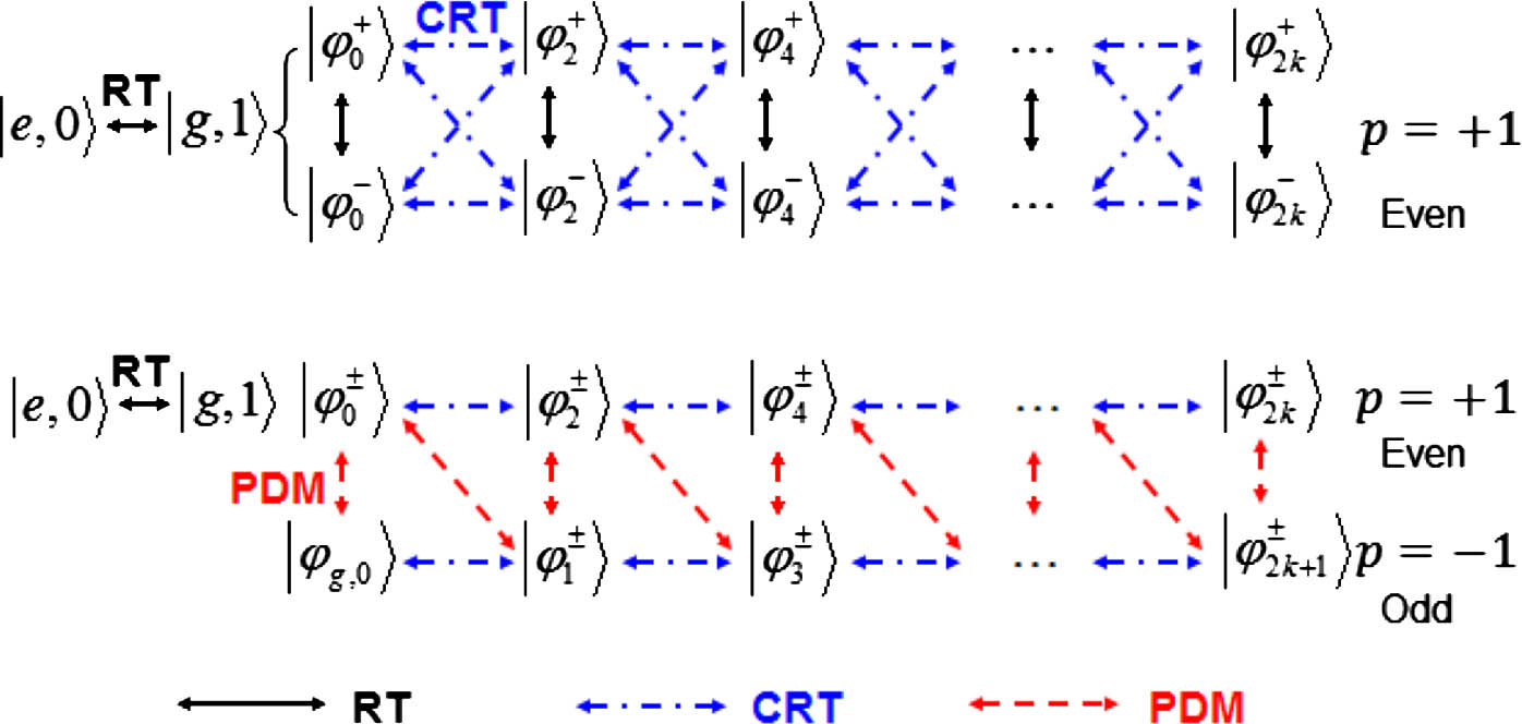 Transitions between the dressed-state energy levels caused by the RT, CRT and, PDM in the parity chains, respectively. The initial state of the system starts is |e,0〉.