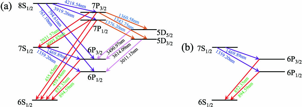 Relevant energy-level and fine transitions of Cs atoms for (a) a 6S1/2-6P3/2-8S1/2 (852 nm+795 nm) ladder-type system (not to scale) and for (b) a 6S1/2-6P3/2-7S1/2 (852 nm+1470 nm) ladder-type system (not to scale). There are fewer decay channels from the Cs 7S1/2 state than that from the Cs 8S1/2 state, which may aid in the analysis of the cooling mechanism.
