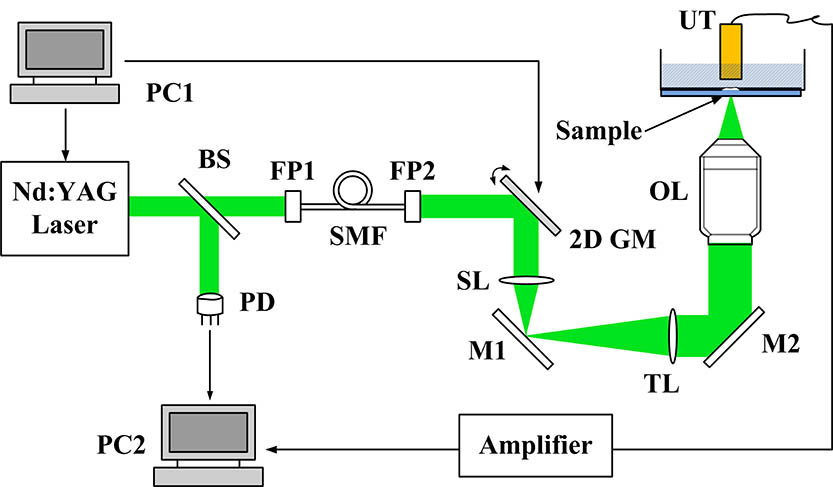 Schematic of the PAM system. PC1 and PC2, personal computer for scanning control and data acquisition; BS, beam splitter; PD, photodiode; FP1 and FP2, FiberPort for coupling or collimating; SMF, single mode fiber; 2D GM, two-dimensional galvanometer; SL, scan lens; TL, tube lens; OL, objective lens; UT, ultrasonic transducer; M1 and M2, mirror.