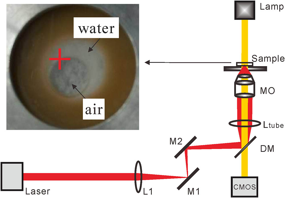 Schematic of the experimental setup. L1, lens; M1-M2, mirrors; DM, dichroic mirror; Ltube, tube lens; MO, microscope objective; CMOS, CMOS camera. Inset: top view of the circular trough. ‘+’ indicates the optical trap center.
