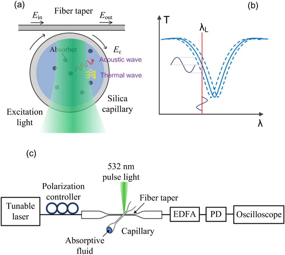 (a) Schematic of the LCORR for PT/PA-effect observation. (b) Resonance-shift measurement. The transmission intensity of the quadrature-locked probe light is modulated by the PT/PA-induced resonance shift. (c) Experimental setup for optical detection of the PT/PA effect in an LCORR. PD, photodetector; EDFA, erbium-doped fiber amplifier.