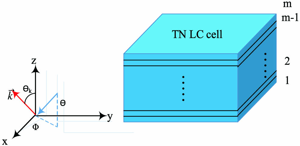 Coordinates of the incident light and the schematic diagram of the TN medium within a TN cell.