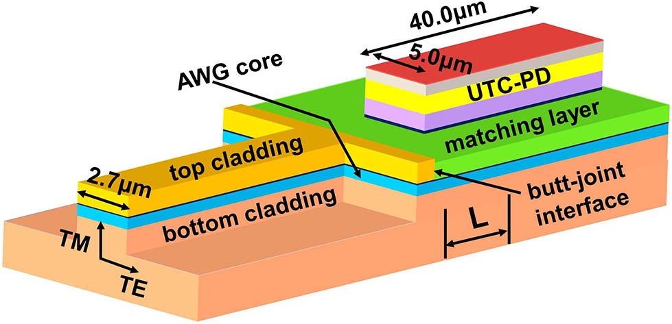 Butt-joint situation of AWG-UTC chip.