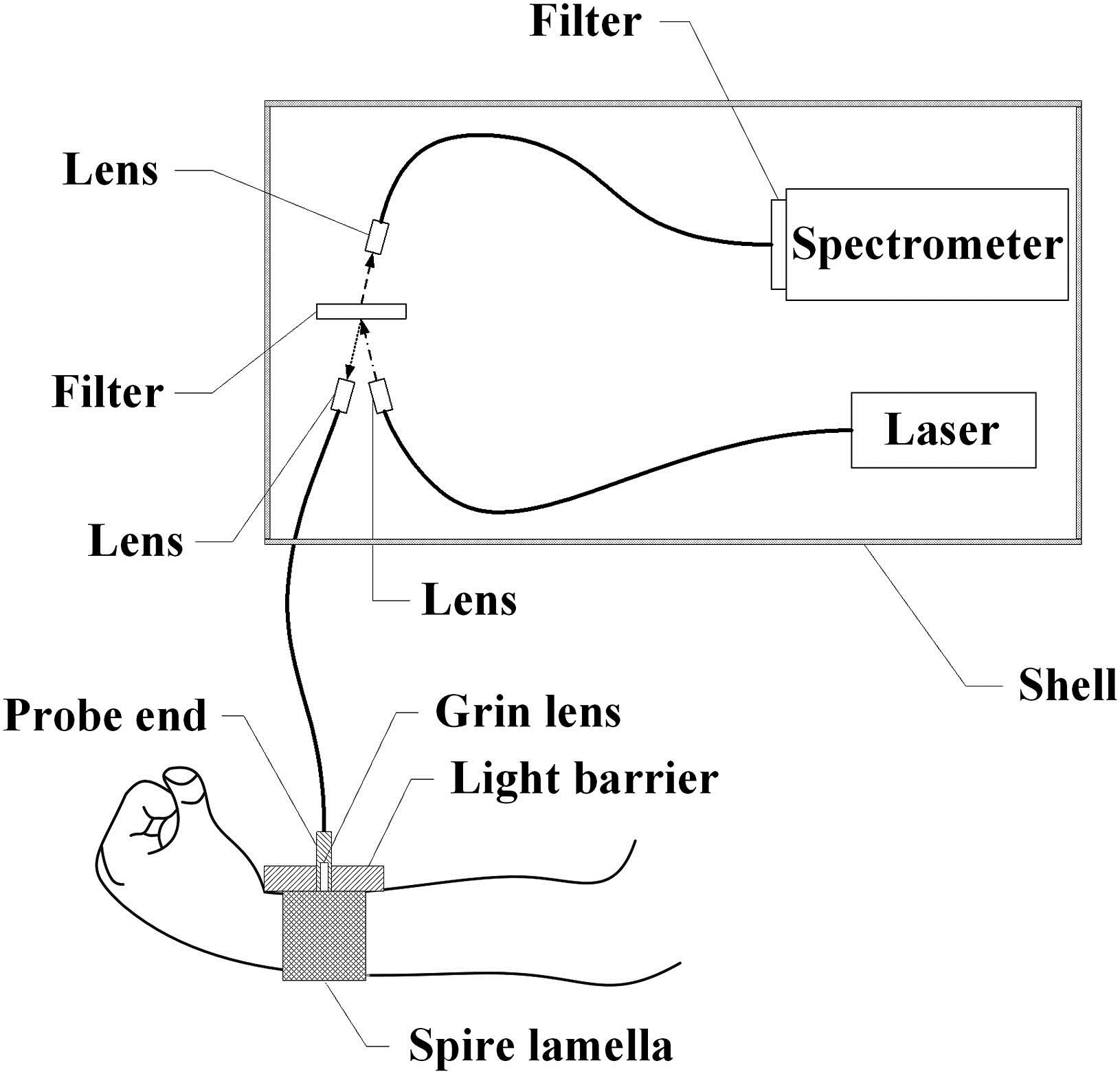 Experimental setup: the schematic diagram of the miniature wearable Raman spectroscopy system.
