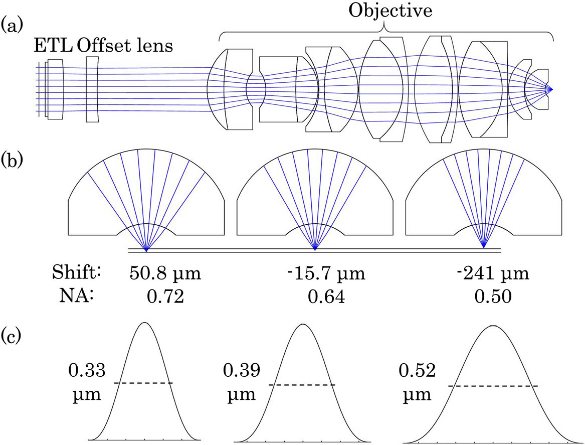 (a) Optical models and ray-tracing analyses of the ETL and objective lens in ZEMAX, (b) NA variation during axial scanning, and (c) PSF variation during axial scanning.