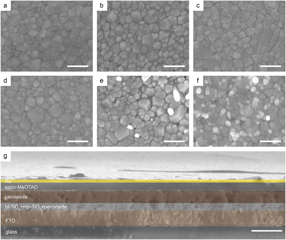 (a)–(e) Top-view SEM images of MA1-xCsxPbI3 films for x=0, 0.05, 0.10, 0.15, 0.20, and 0.30. Scale bars are all 250 nm. (g) Cross-section SEM images of a solar cell. The scale bar is 1 μm.