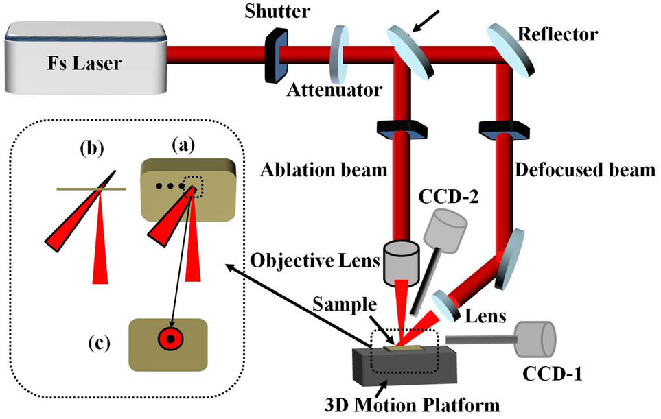 Schematic diagram of the laser irradiation system.