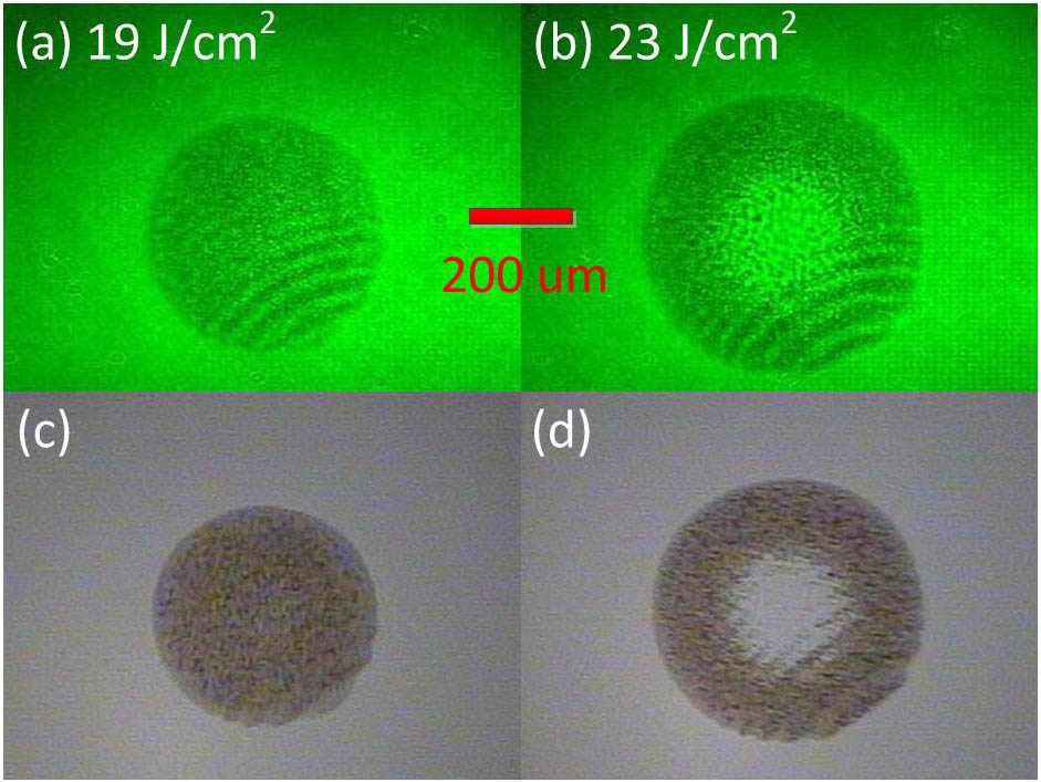 Real-time images induced by different laser energy densities for (a) 19 and (b) 23 J/cm2, respectively. (c) and (d) Corresponding morphological images taken by an optical microscope (OM) after experiment.
