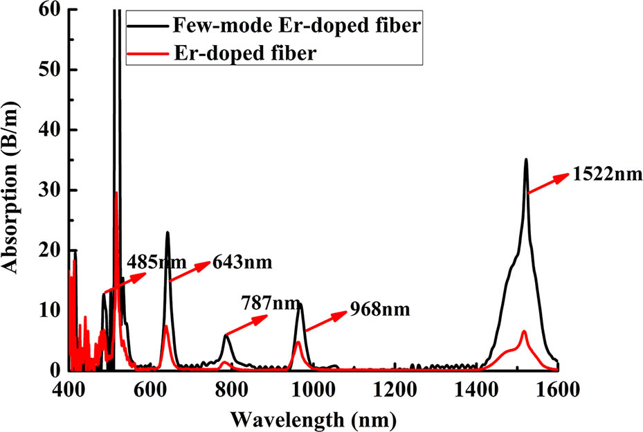Absorption spectra of the FM-EDF and EDF (EDFC-980HP).