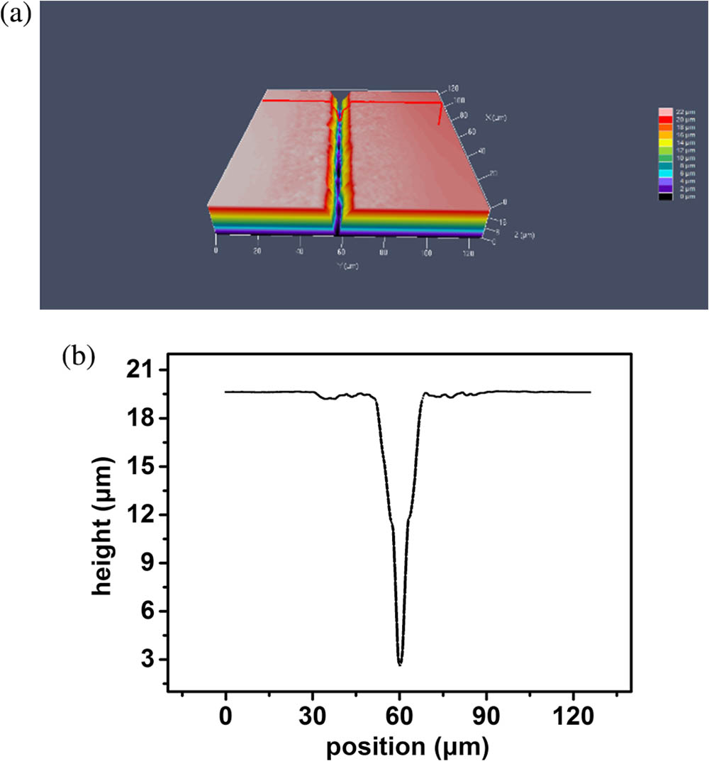(a) Morphology of the microchannel measured by the LCM; (b) cross-section profile.