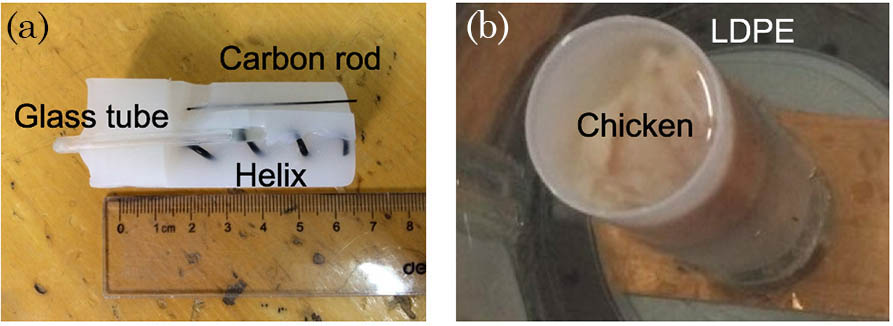 Photographs of the two phantoms. (a) The agar phantom with the carbon rod, helix, and glass tube. The photo was taken after the experiment. (b) The chicken breast tissue phantom.