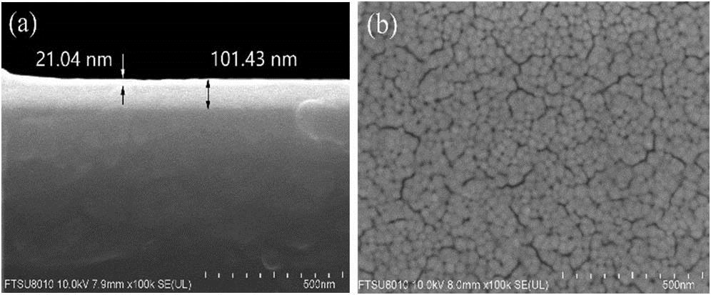 SEM pictures. (a) Side elevation of the tapered fiber deposited by MoTe2. (b) The magnified morphology of materials on the optical fiber surface.