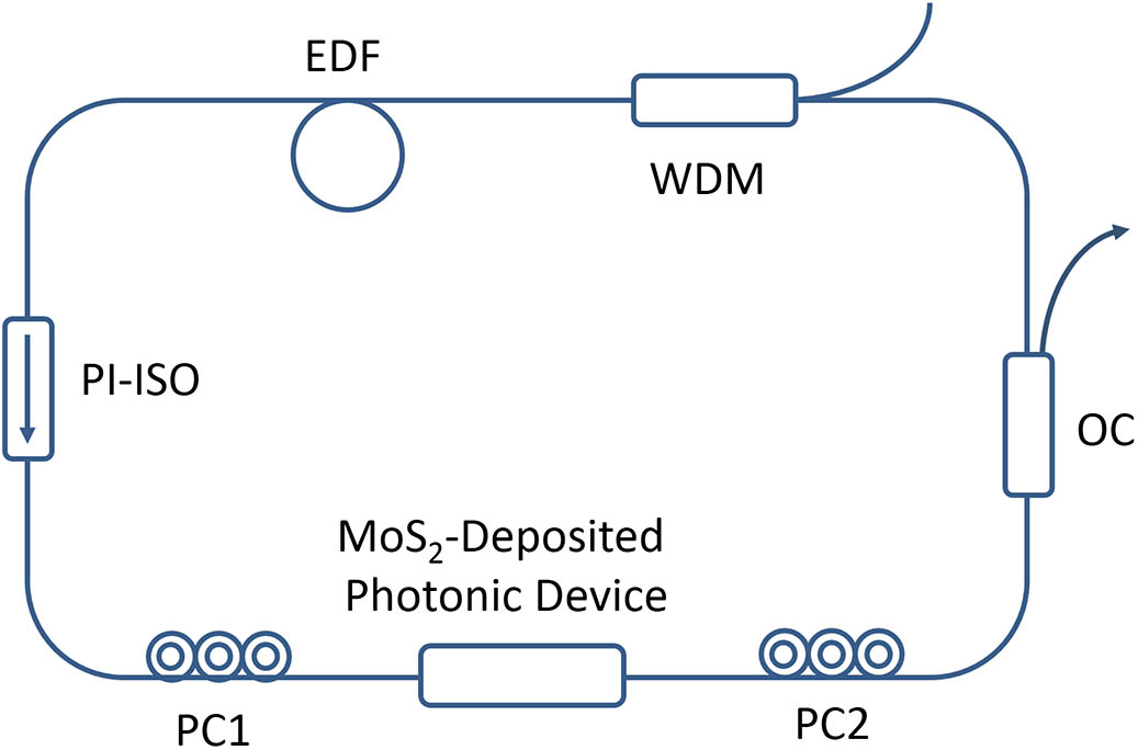 Schematic of the passively mode-locked EDF laser with a MoS2-deposited microfiber photonic device.