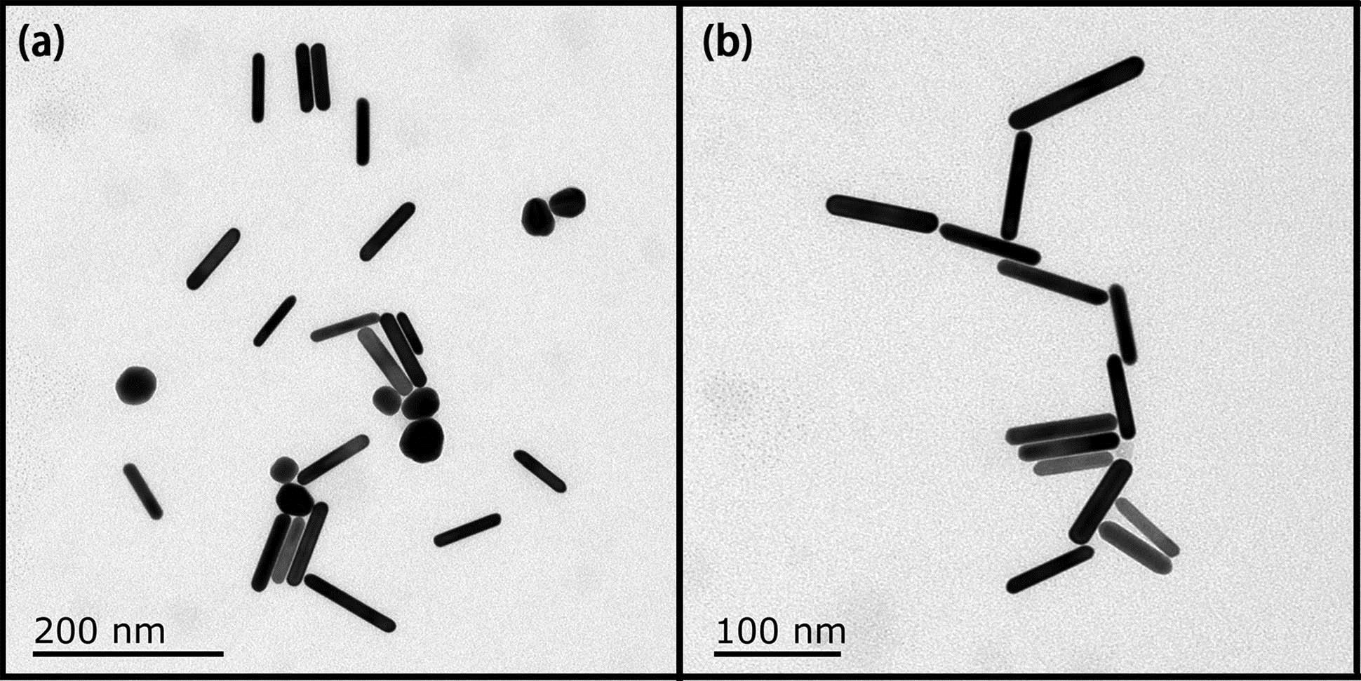 TEM images of GNRs with the scale bars of (a) 200 and (b) 100 nm.