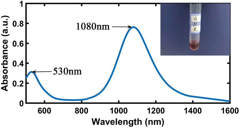 Absorption spectrum of the GNRs. Inset: photograph of the aqueous solution of GNRs.