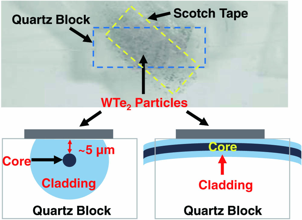 Photo and schematics of the prepared WTe2-particle-attached side-polished fiber.