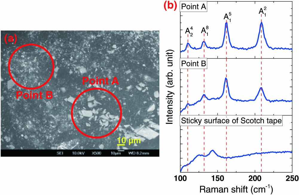 Measurements of (a) the scanning-electron-microscope (SEM) image and (b) the Raman spectra of the WTe2 particles on the top of the sticky surface of a small segment of Scotch tape.