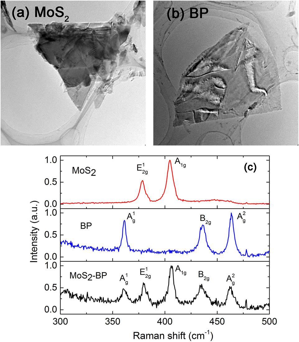 TEM images of the prepared (a) MoS2 and (b) BP nanosheets. (c) Characteristics of Raman spectra of a few layered MoS2, BP, and MoS2–BP composite.