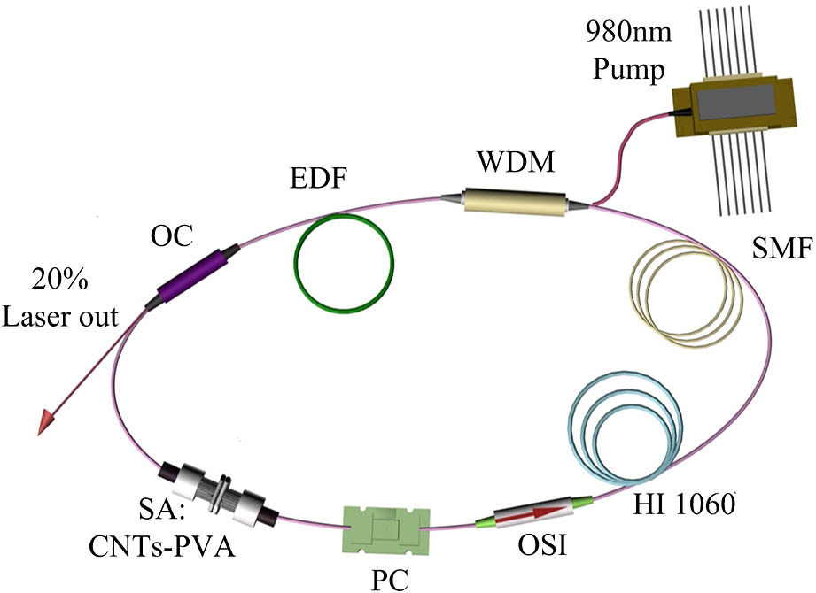 Schematic configuration of a passive HML fiber laser with a CNTs-PVA film.