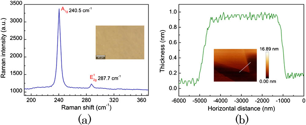 (a) Raman spectrum of MoSe2 film. Inset: microscopic morphology of MoSe2 film, scale bar: 40 μm. (b) Morphology (inset) and thickness profile (the white line in the inset) of the MoSe2 film measured by AFM.