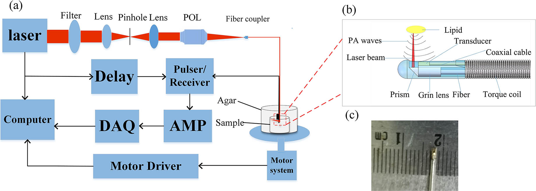 Schematic of the system and photograph of the devices. (a) Schematic of the system: POL, plan objective lens; AMP, amplifier; DAQ, data acquisition system. (b) Schematic of the laser emission and PA signals reception. (c) Photograph of the integrated transducer.