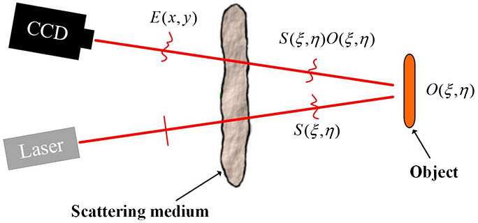 Schematic of the round-trip imaging through a scattering medium.