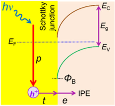 Energy band diagram of a metal contact to a p-type semiconductor and the three steps of the internal photoemission process: p, photoexcitation; t, transport; e, emission. EC and EV are the conduction and valence band edges, respectively, EF is the Fermi level, and ΦB is the Schottky barrier height.