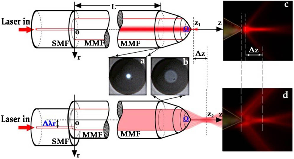 Schematic of the graded-index MMF optical tweezers probe structure. a, image of the MMF profile light field in the core when Δλr=0; b, image of the MMF profile light field in the core when Δλr=10 μm; c, the lateral view image of the focused output light field from the MMF when Δλr=0, here we employ the dye Eosin Y in the solution. We use the green light source of 532 nm to illuminate and a red light filter to observe. d, the lateral view image of the focused output light field from the MMF when Δλr=10 μm. The images are all taken by CCD.