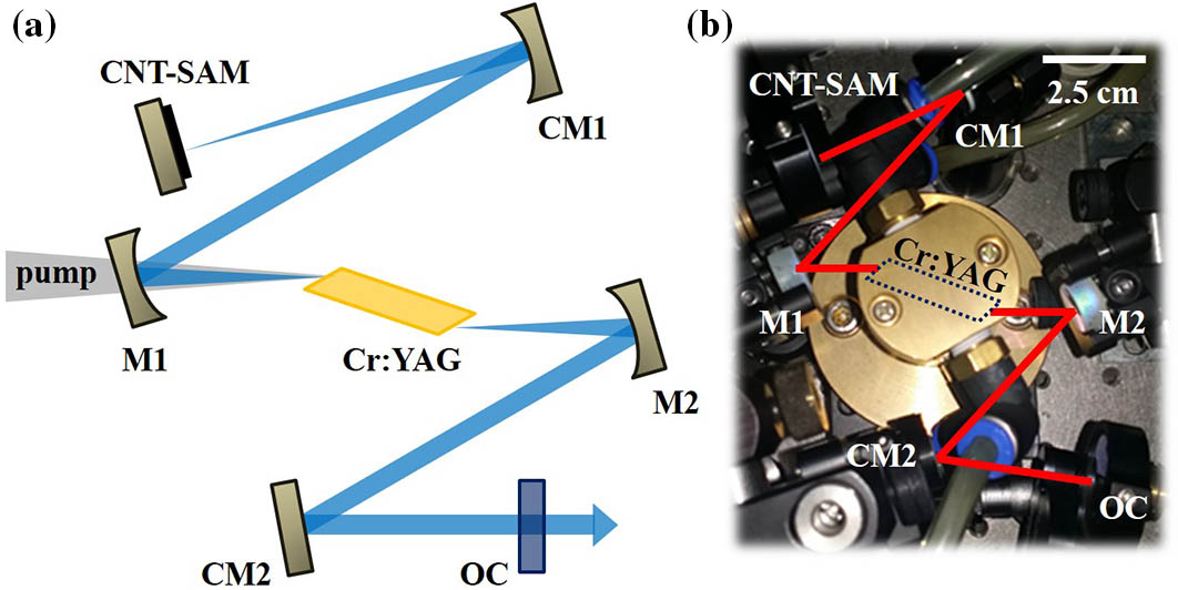(a) Schematic and (b) photograph of 550-MHz femtosecond Cr:YAG laser. Cr:YAG: 20-mm-long Cr:YAG gain crystal; M1, M2: HR-coated concave mirrors with ROC=−50 mm; CM1: HR-coated concave GTI mirror with ROC=−100 mm and with one bounce dispersion of −225 fs2; CM2: HR-coated plane GTI mirror with one bounce dispersion of −375 fs2; CNT-SAM : carbon nanotube saturable absorber mirror; OC: output coupler with 0.5% or 0.8% transmission.