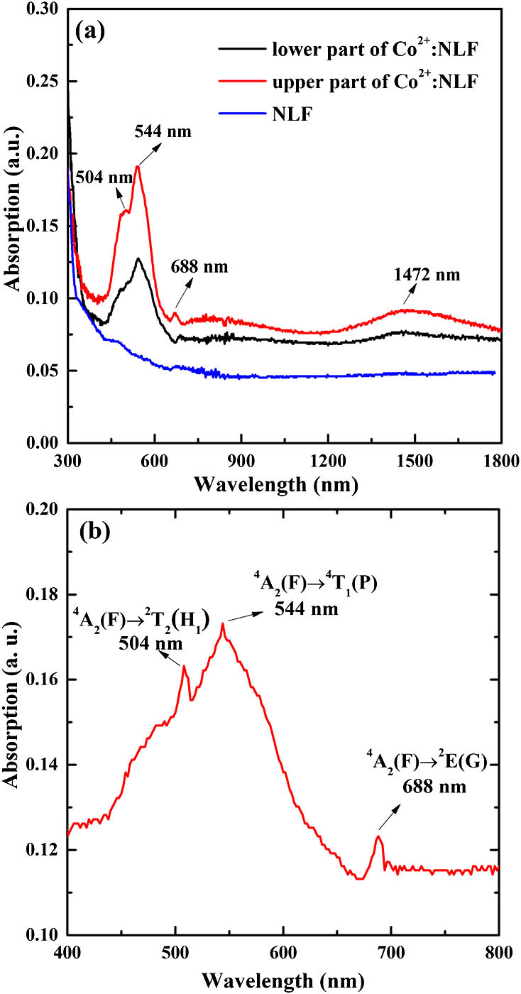 (a) Absorption spectra of Co doped Na5Lu9F32 single crystals. (b) Enlarged absorption spectra from 400 to 800 nm.