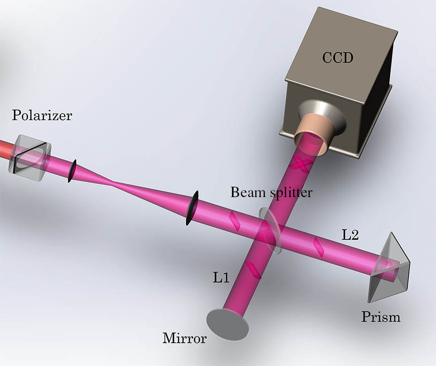 Layout of the Michelson-type interferometer. The polarizer only allows the transmission of the polarization-rotated light. The probe beam is amplified N1 times by a pair of lenses and then split into L1 and L2 by a beam splitter. L1 and L2 interfere with each other and the interference fringes are recorded by a CCD camera after being amplified N2 times by another amplification system.