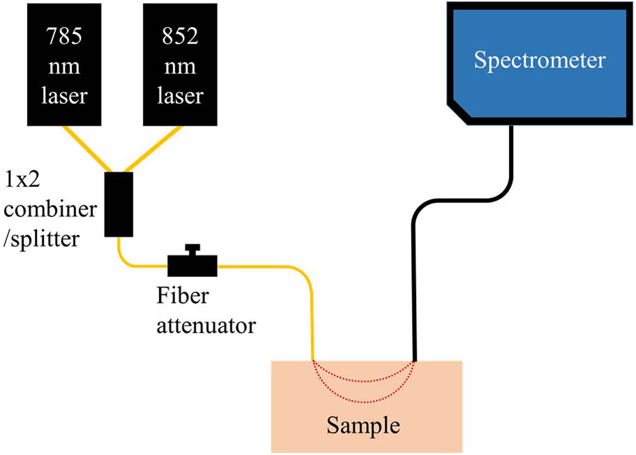 Schematic of the proposed system. The system is configured with two lasers, a 1×2 fiber combiner/splitter, a fiber attenuator, and an off-the-shelf spectrometer coupled with detection fiber.