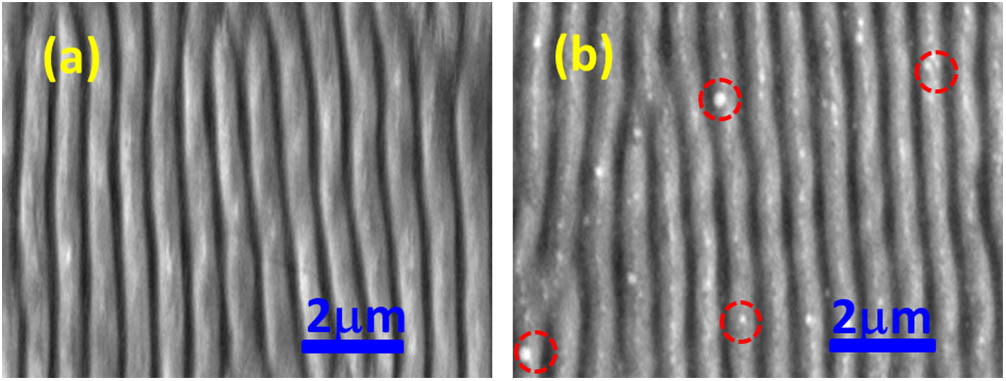 SEM pictures of periodic ripples induced by the fs laser on W metal surfaces: (a) polished, (b) non-polished.