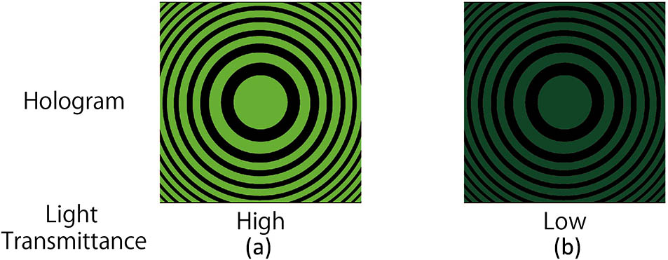 (a) Conventional binary CGH and (b) BW-CGH for green reference light.