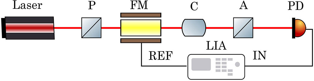 Polarization rotation measurement system using Faraday modulator. P, polarizer; FM, Faraday modulator; C, rotation generating cell; A, analyzer; PD, photodetector; LIA, lock-in amplifier.