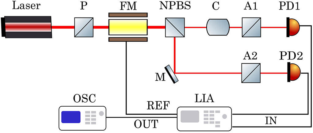 Schematic of the Faraday modulation-based polarization rotation measurement setup using differential detection. P, polarizer; FM, Faraday modulator; NPBS, non-polarizing beam splitter; M, mirror; C, rotation generating cell; A1, A2, analyzers; PD1, PD2, photodetectors; LIA, lock-in amplifier; OSC, oscilloscope.