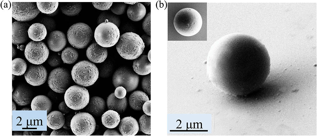 (a) The top view and (b) 45° view of SEM images of DCM-doped polymer microspheres.