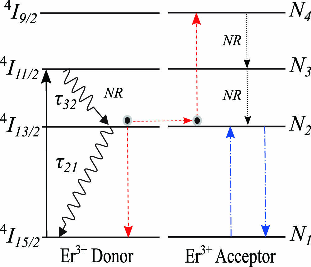 Energy-level diagram of Er3+ ion[16]. Pump signal absorption and cooperative upconversion are indicated by black solid arrows and red dashed arrows, repectively. Stimulated absorption and emission at the signal wavelength are shown by blue dashed arrows.