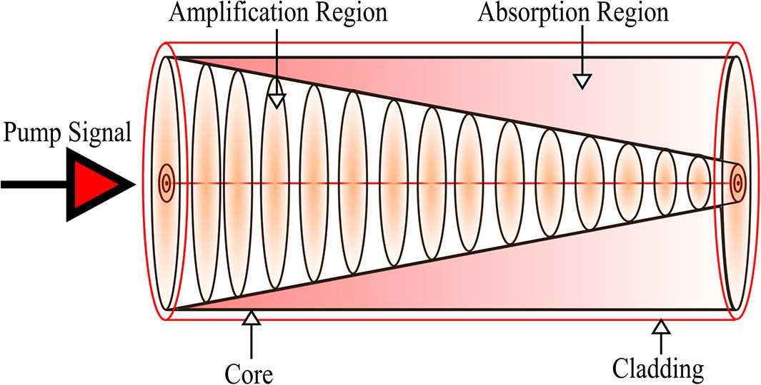 Absorption and amplification region creation in an EDF.