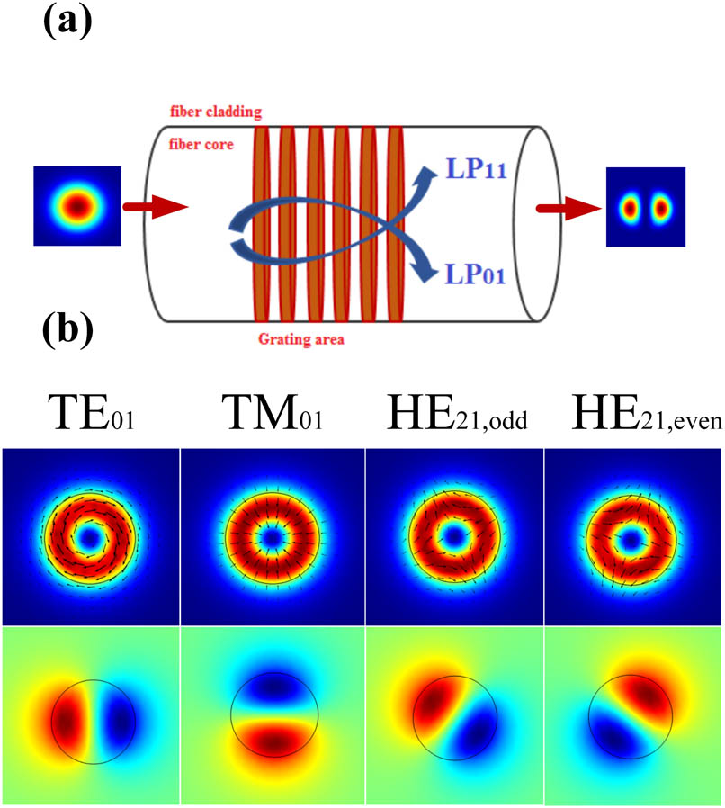 (a) Mode coupling scheme of an LPFG mode converter. (b) The density profile of the LP11 mode and four high-order vector beams (TE01, TM01, HE21,even, HE21,odd) at 1064 nm, and their x component of electric-field simulations with the standard step index fiber of SMF-28e (the core and cladding diameters are ∼8.2 μm and 125 μm, the refractive indices of the core and cladding are 1.4689 and 1.4630 at 1064 nm) by the finite element method.