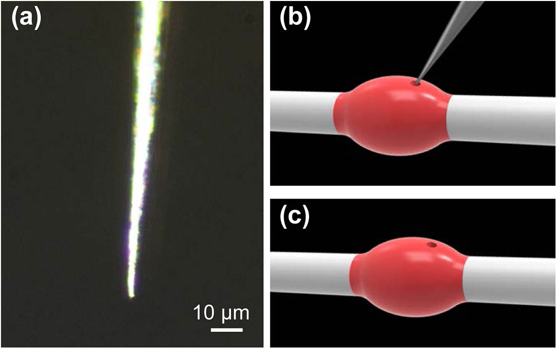 (a) Microscope image of a tungsten probe. (b), (c) Schematic illustration of surface destruction of a polymer microbottle resonator by using a tungsten probe.