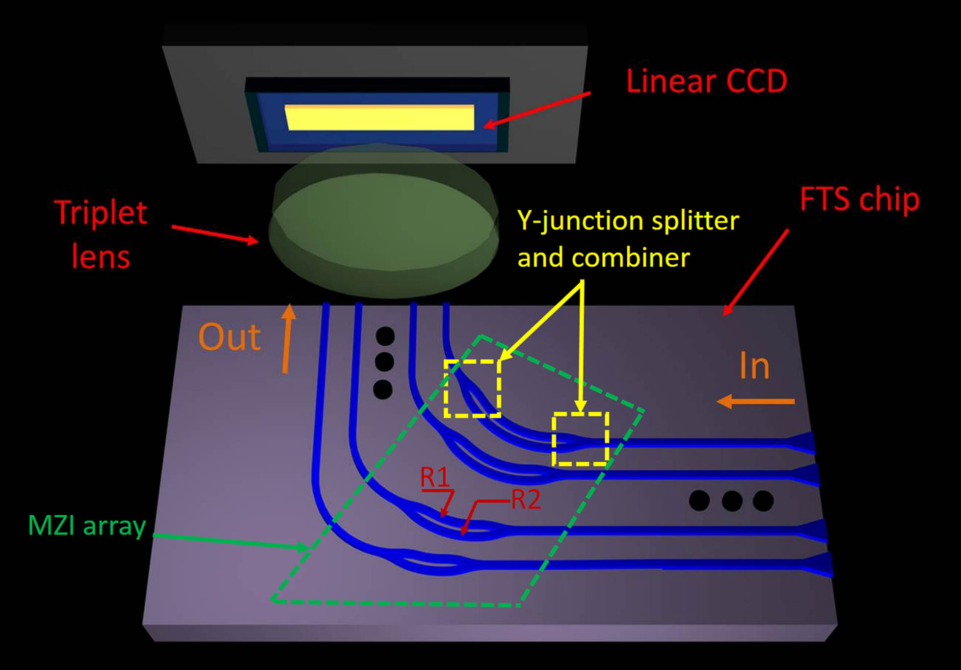 Structure schematic of the miniaturized spectrometer. Three major parts including FTS chip, triplet lens, and linear CCD form the miniaturized spectrometer. In the FTS chip, the green box indicates the MZI array, and the yellow boxes indicate the Y-junction splitter and combiner. The two arms of each MZI have the same rotation angle but different radii as R1 and R2, leading to the OPD (optical path difference). The OPD in each MZI changes across the array along with the variation of the rotation angle.