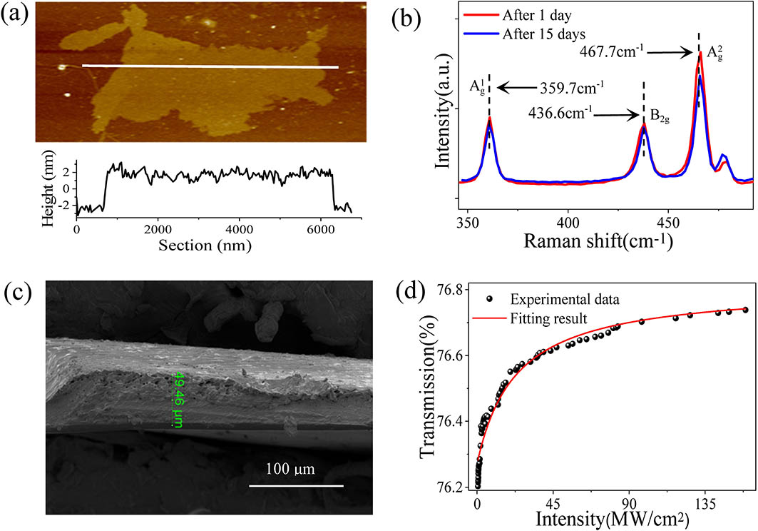 (a) AFM image and (b) Raman spectra of BP nanosheets. (c) Side profile and (d) saturable absorption of BP-PVA film.