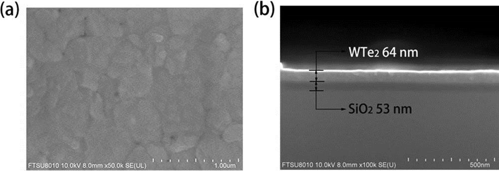 SEM images of (a) the WTe2 particles on the surface, and (b) the thickness of the WTe2.