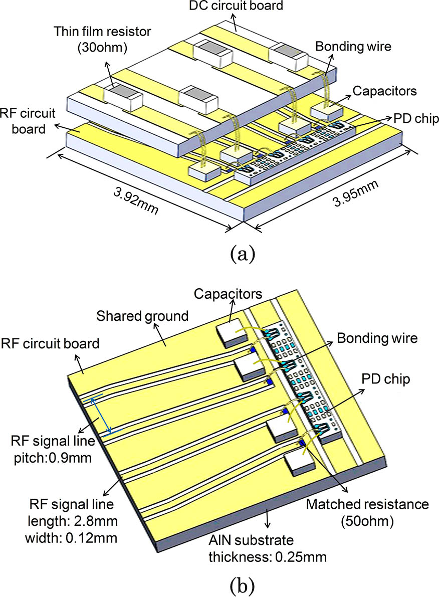 (a) Schematic of 3D microwave circuit. (b) Model of RF circuit board with high frequency transmission line.