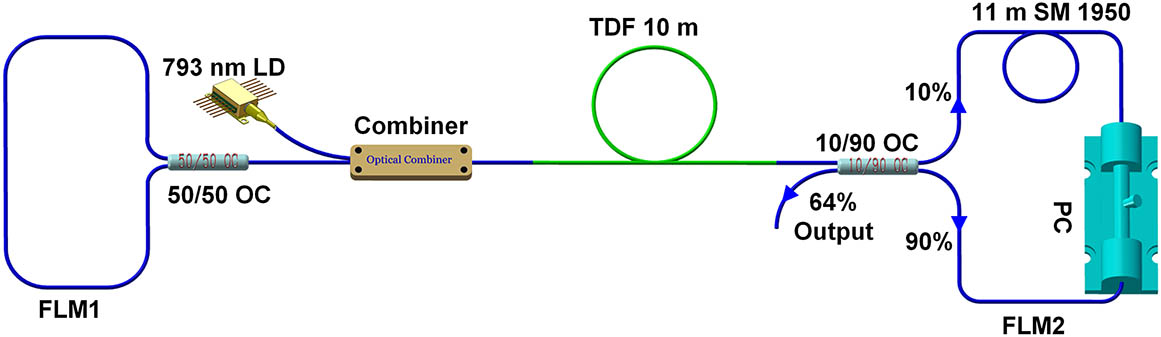 Schematic of the compact dumbbell-shaped ML-TDFL.